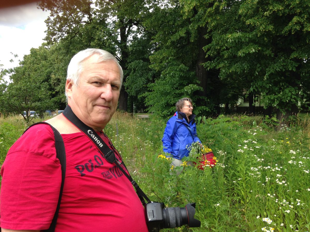 Ab in die Natur und Kräuter sammeln